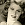 Rita Hayworth, click en la imagen para verla ampliada.