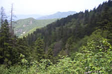 En la noticia en la Unesco, el Monte Myohyang de Korea, declarado también MBA, junto a otros 25 lugares. 