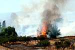 Incendio forestal en Chicureo